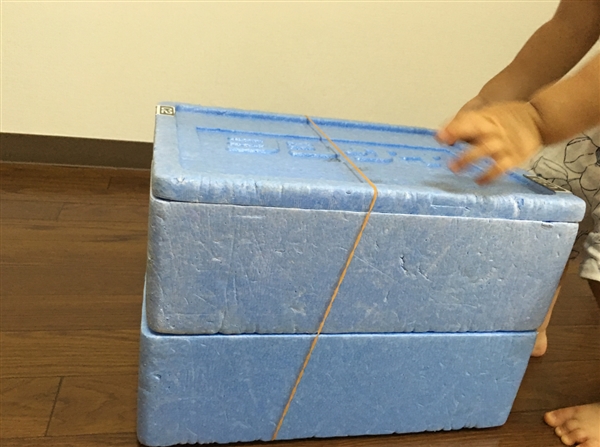 ヨシケイの口コミ│キットde楽は悪い!?真実を確かめた!