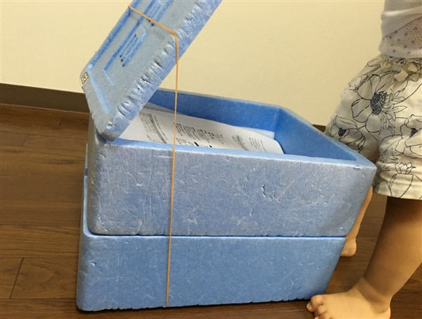 ヨシケイの口コミ│キットde楽は悪い!?真実を確かめた!